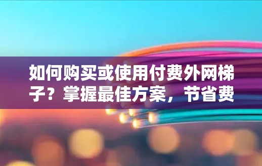 如何购买或使用付费外网梯子？掌握最佳方案，节省费用！