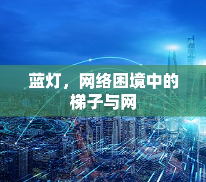 蓝灯，网络困境中的梯子与网