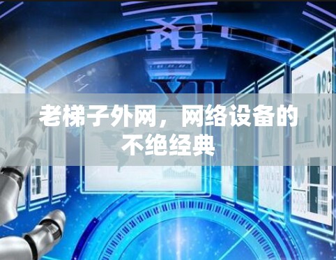 老梯子外网，网络设备的不绝经典
