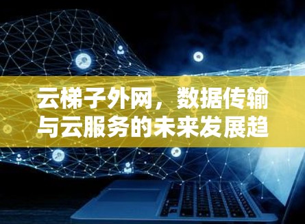 云梯子外网，数据传输与云服务的未来发展趋势