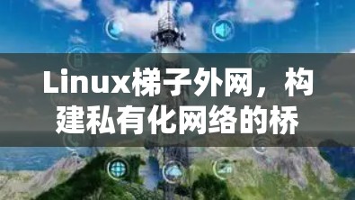 Linux梯子外网，构建私有化网络的桥梁