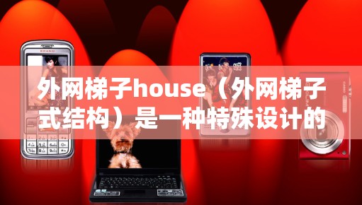 外网梯子house（外网梯子式结构）是一种特殊设计的建筑物结构，通常用于连接外网（外部网）的多个楼层或设备。其结构类似于梯子，但具有特殊的功能和用途。以下是一些可能的解释和应用