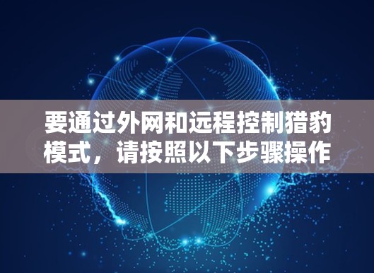 要通过外网和远程控制猎豹模式，请按照以下步骤操作