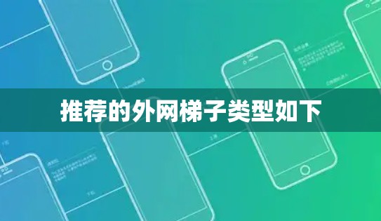 推荐的外网梯子类型如下