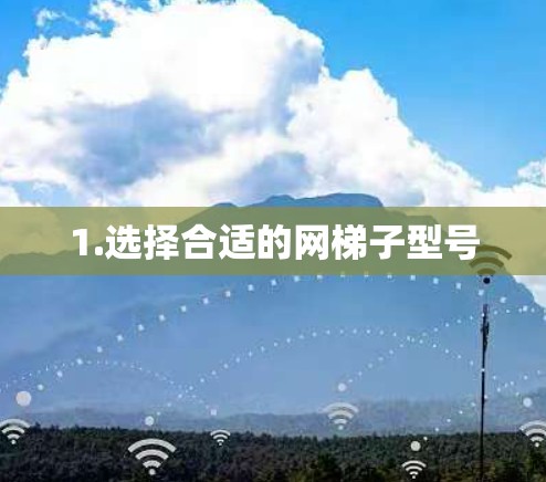 1.选择合适的网梯子型号