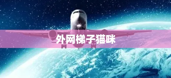 外网梯子猫咪