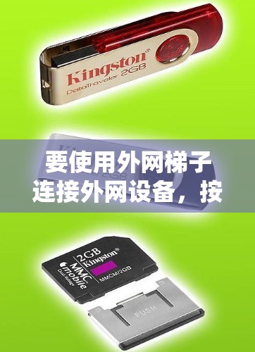 要使用外网梯子连接外网设备，按照以下步骤操作