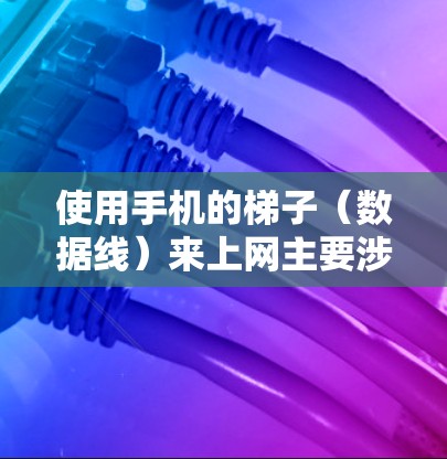 使用手机的梯子（数据线）来上网主要涉及无线网络的连接。以下是使用手机无线网络连接互联网的步骤
