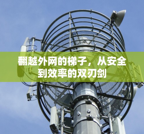 翻越外网的梯子，从安全到效率的双刃剑