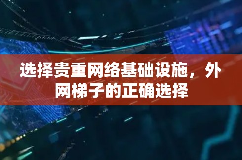 选择贵重网络基础设施，外网梯子的正确选择