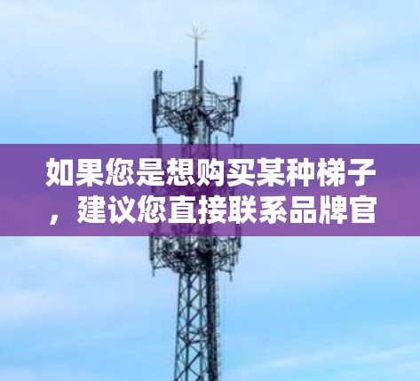 如果您是想购买某种梯子，建议您直接联系品牌官网或客服获取购买信息。通常，购买梯子可以从以下渠道进行