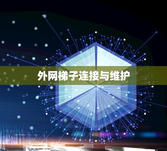 外网梯子连接与维护