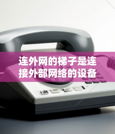 连外网的梯子是连接外部网络的设备，用于为电力、通信、计算机或互联网提供稳定的连接。以下是关于连外网梯子的详细分析