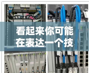 看起来你可能在表达一个技术问题，比如外网和搭梯子可能是指将外网接入服务器的过程。如果您是想将外网连接到服务器，我会建议您按照以下步骤操作