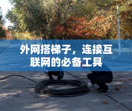 外网搭梯子，连接互联网的必备工具