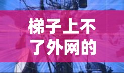 梯子上不了外网的情况通常由多种因素导致，包括梯子的滑动、长度、材质、支撑情况以及外部的力。为了确保安全，建议以下步骤
