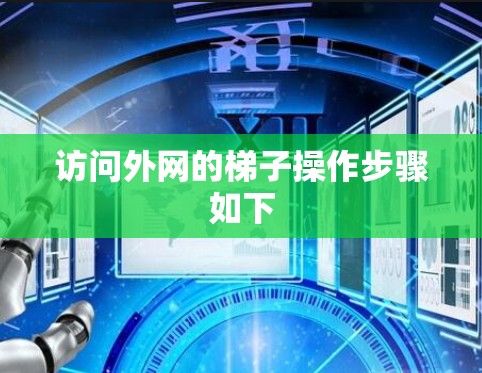 访问外网的梯子操作步骤如下