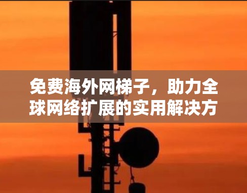 免费海外网梯子，助力全球网络扩展的实用解决方案