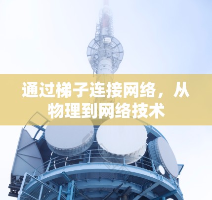 通过梯子连接网络，从物理到网络技术