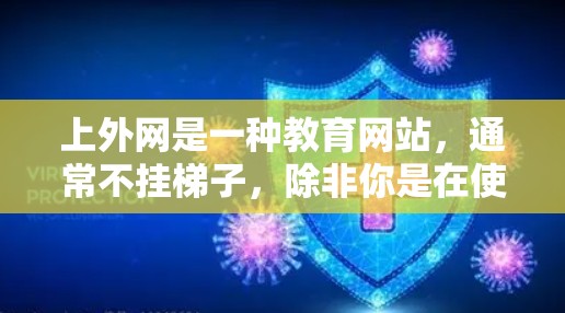 上外网是一种教育网站，通常不挂梯子，除非你是在使用服务器上安装软件。如果您的问题与服务器配置有关，建议您检查以下内容