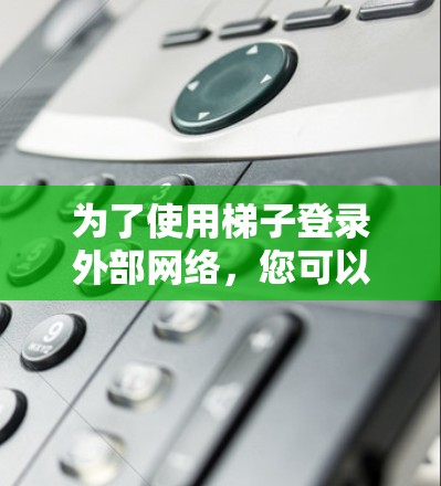 为了使用梯子登录外部网络，您可以按照以下步骤操作