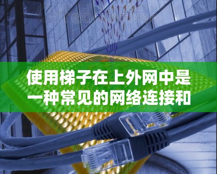 使用梯子在上外网中是一种常见的网络连接和传输工具。以下是详细的使用步骤和注意事项
