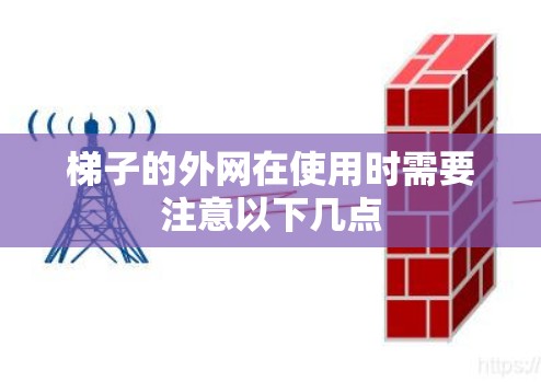 梯子的外网在使用时需要注意以下几点 梯子的外网在使用时需要注意以下几点