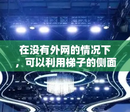 在没有外网的情况下，可以利用梯子的侧面移动来间接使用它作为工具。以下是详细的步骤