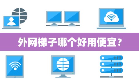 外网梯子哪个好用便宜？