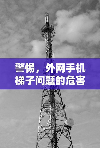 警惕，外网手机梯子问题的危害与应对策略