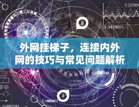 外网挂梯子,连接内外网的技巧与常见问题解析 外网挂梯子,连接内外网的技巧与常见问题解析