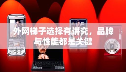 外网梯子选择有讲究,品牌与性能都是关键 外网梯子选择有讲究,品牌与性能都是关键