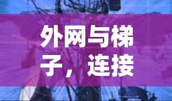 外网与梯子,连接互联网的桥梁 外网与梯子,连接互联网的桥梁