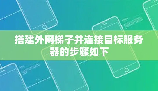 搭建外网梯子并连接目标服务器的步骤如下