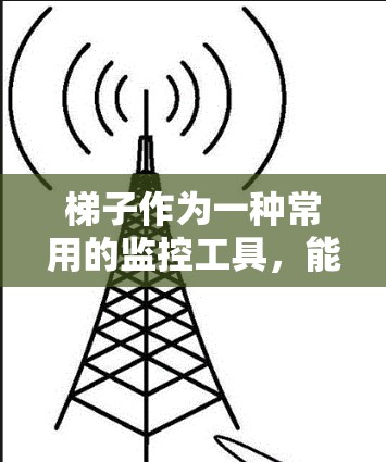 梯子作为一种常用的监控工具，能够覆盖周边环境中的多个外网区域，实现全方位的监控。以下是梯子能看的外网及其具体应用