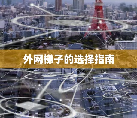 外网梯子的选择指南