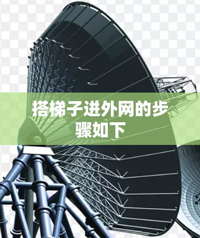 搭梯子进外网的步骤如下 搭梯子进外网的步骤如下