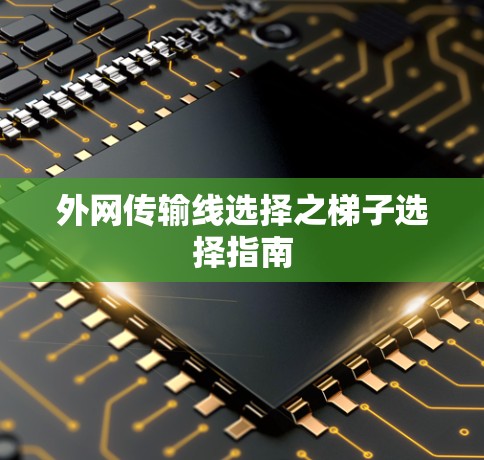 外网传输线选择之梯子选择指南