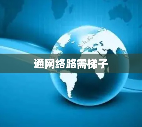 通网络路需梯子