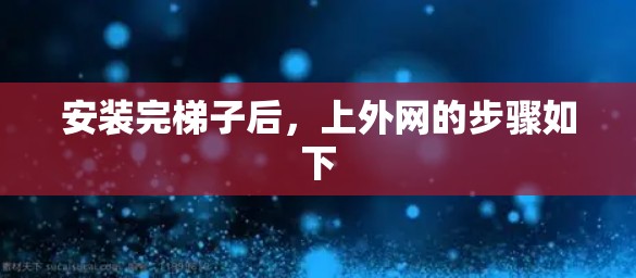 安装完梯子后，上外网的步骤如下