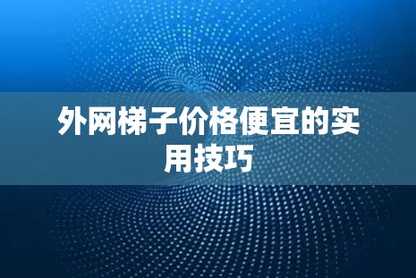 外网梯子价格便宜的实用技巧