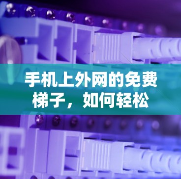 手机上外网的免费梯子，如何轻松享受网络