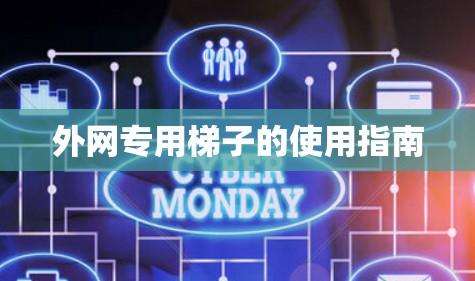 外网专用梯子的使用指南