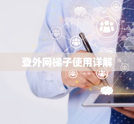 登外网梯子使用详解