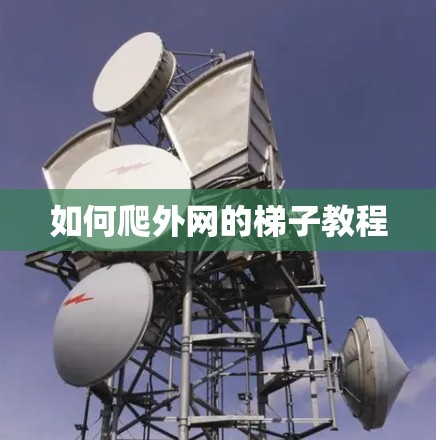 如何爬外网的梯子教程