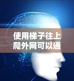 使用梯子往上爬外网可以通过以下步骤进行 使用梯子往上爬外网可以通过以下步骤进行