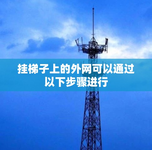挂梯子上的外网可以通过以下步骤进行