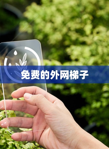免费的外网梯子