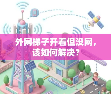 外网梯子开着但没网，该如何解决？