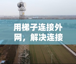 用梯子连接外网，解决连接问题的实用指南